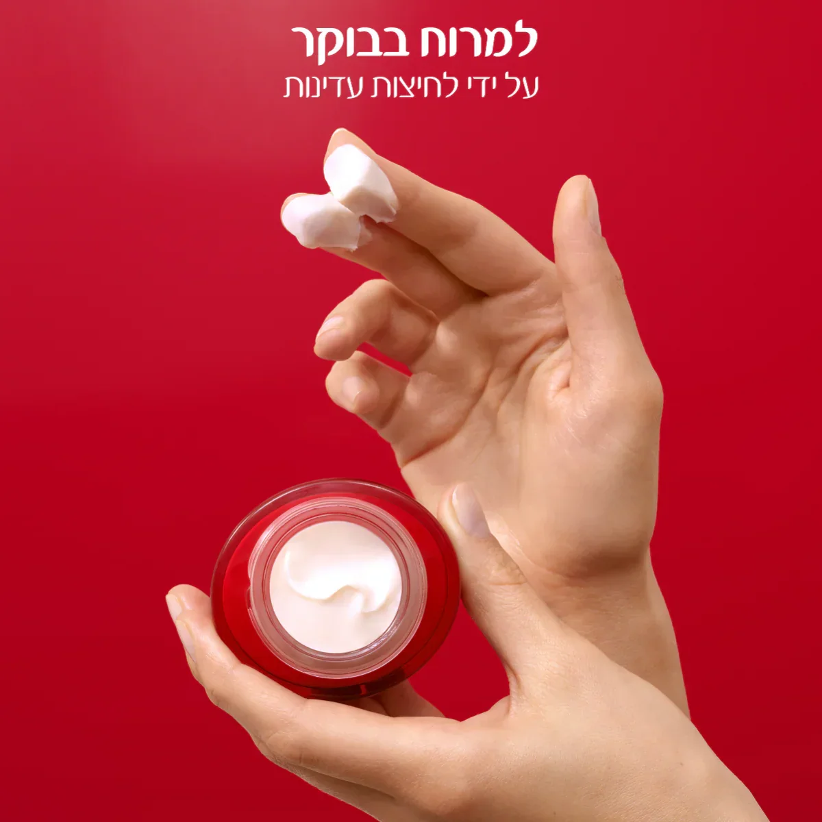 תמונת מוצר 7