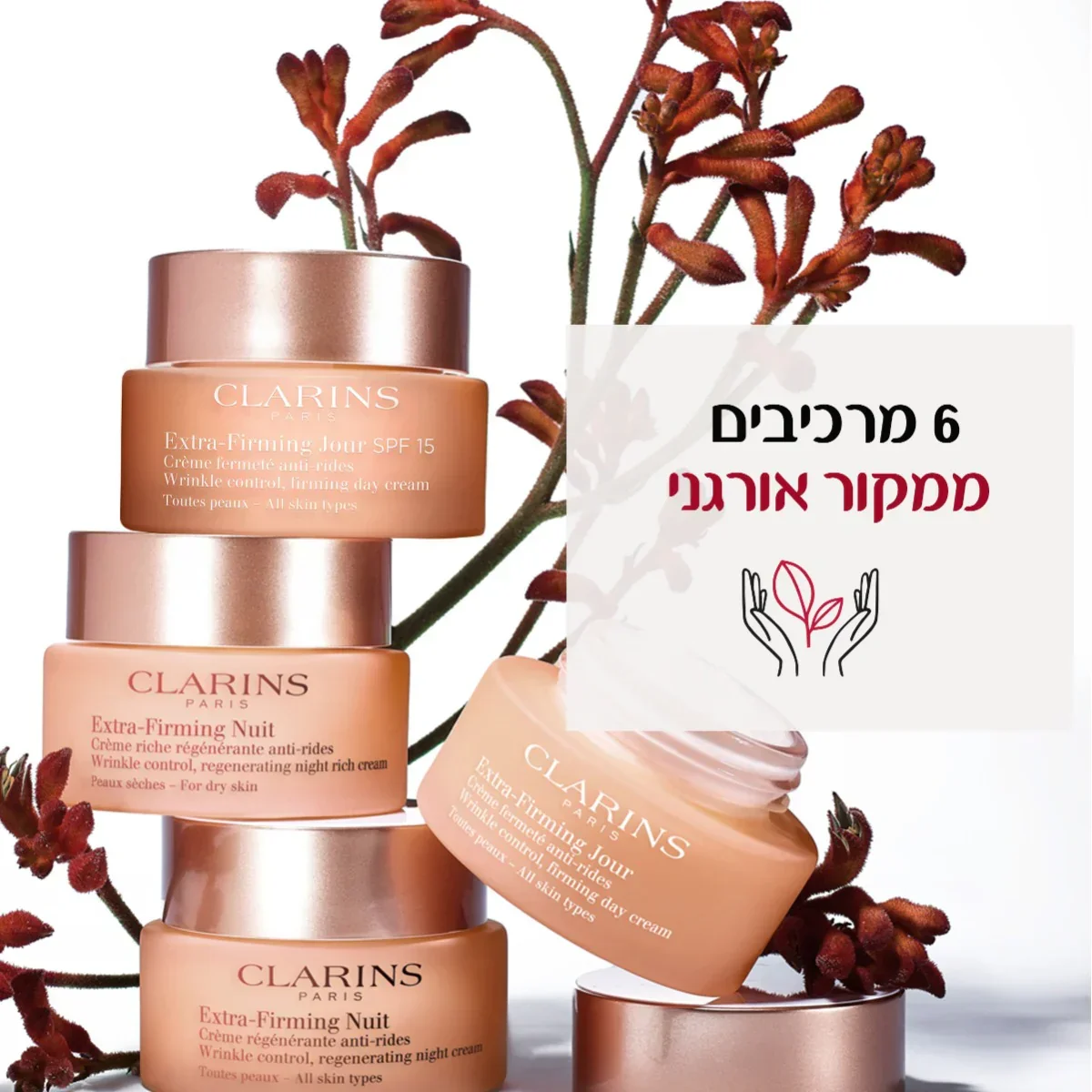 תמונת מוצר 8