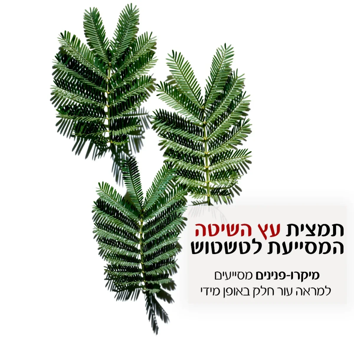 תמונת מוצר 3